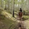 Alpine Five-Day Epic Pack Trip
